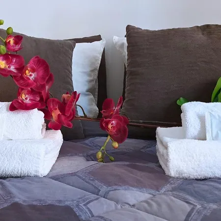 Leila Stazione Tiburtina 10 Minuti Dal Coloseo Appartamento