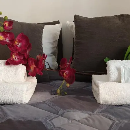 Leila Stazione Tiburtina 10 Minuti Dal Coloseo *