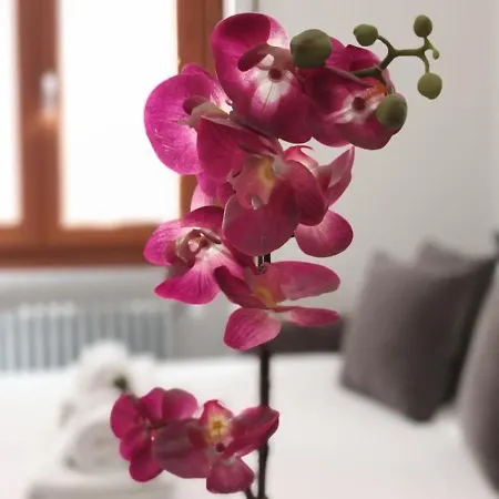 Appartamento Leila Stazione Tiburtina 10 Minuti Dal Coloseo *